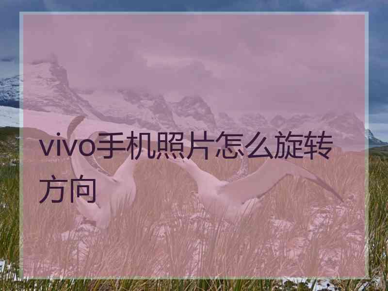 vivo手机照片怎么旋转方向