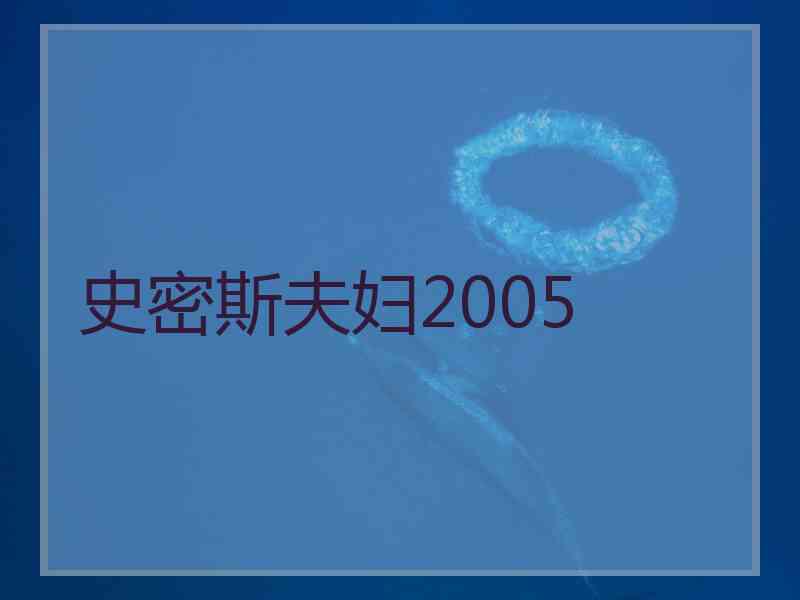 史密斯夫妇2005