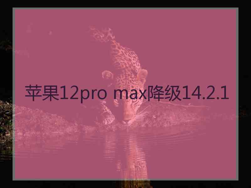 苹果12pro max降级14.2.1