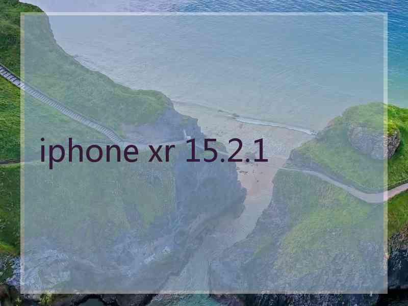 iphone xr 15.2.1