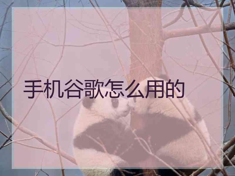 手机谷歌怎么用的