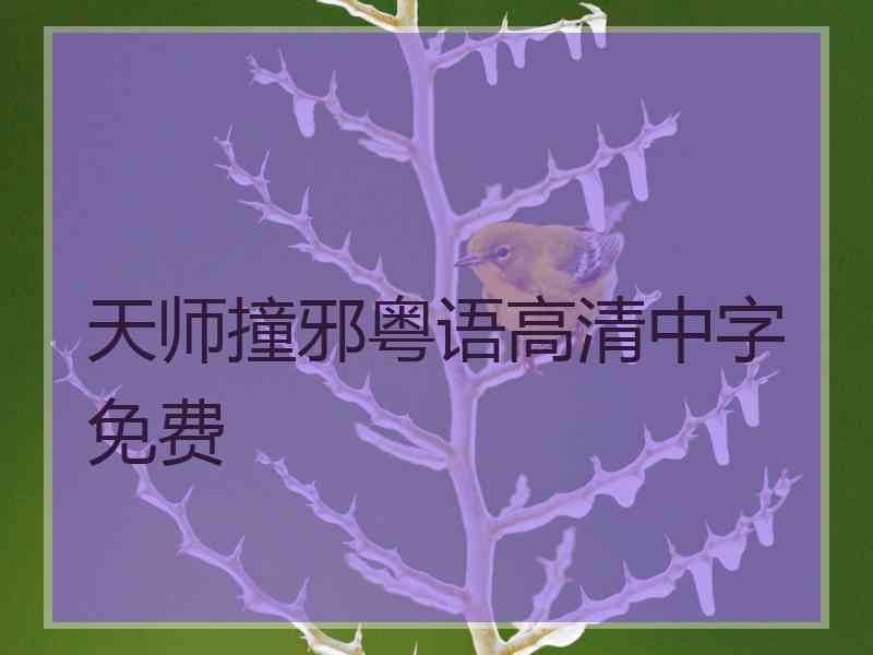 天师撞邪粤语高清中字免费