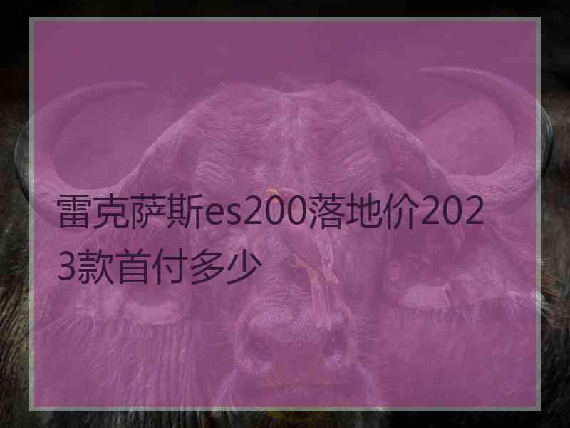 雷克萨斯es200落地价2023款首付多少