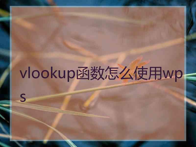 vlookup函数怎么使用wps