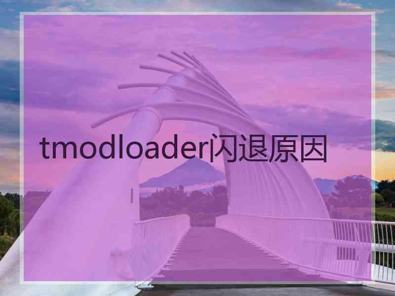 tmodloader闪退原因