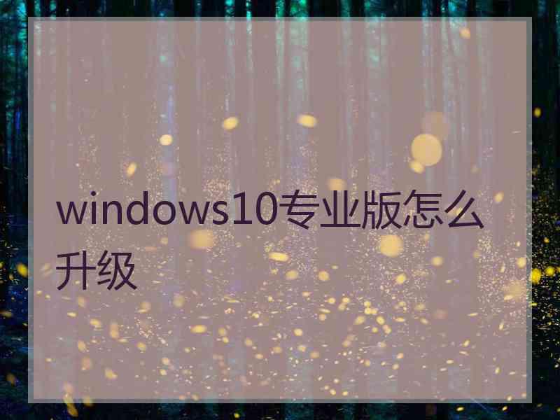 windows10专业版怎么升级