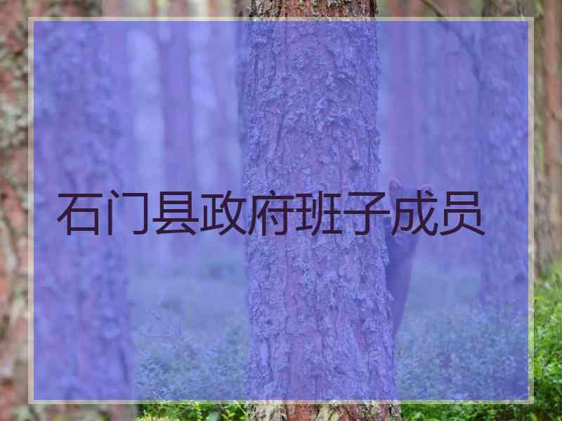 石门县政府班子成员