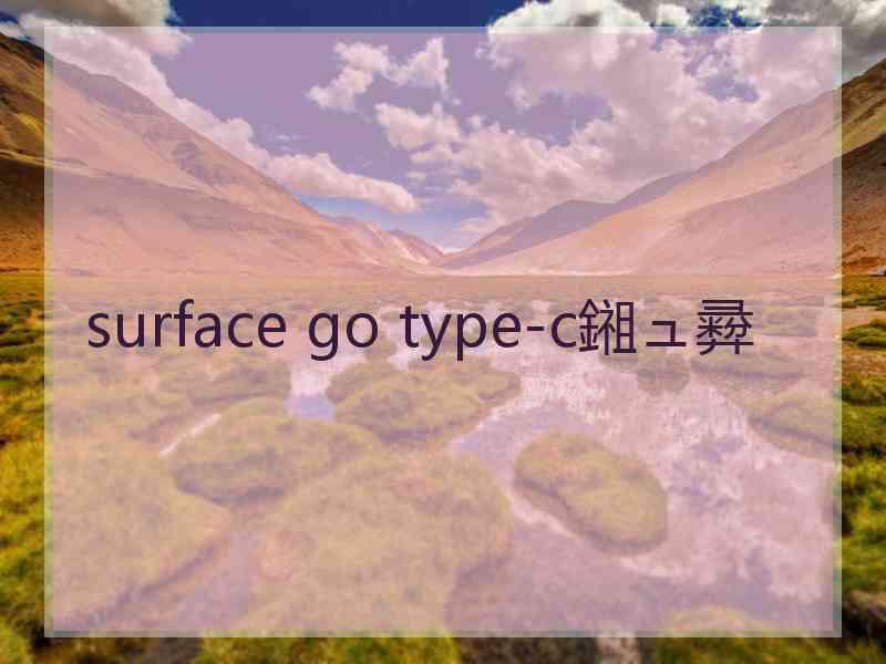 surface go type-c鎺ュ彛