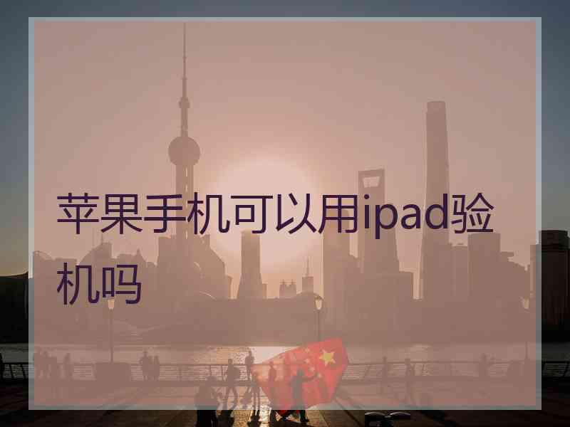 苹果手机可以用ipad验机吗