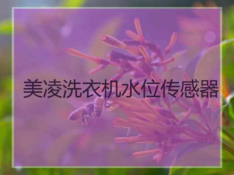 美凌洗衣机水位传感器