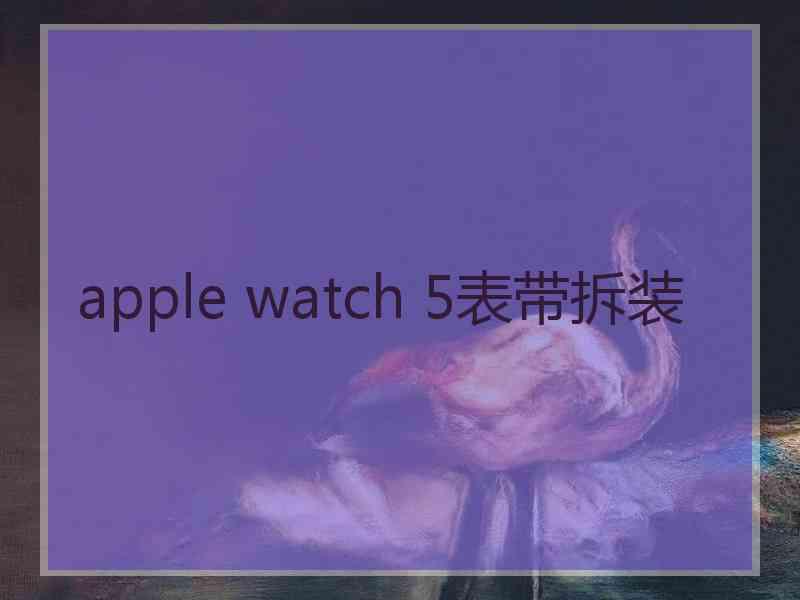 apple watch 5表带拆装