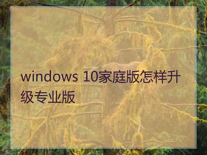 windows 10家庭版怎样升级专业版