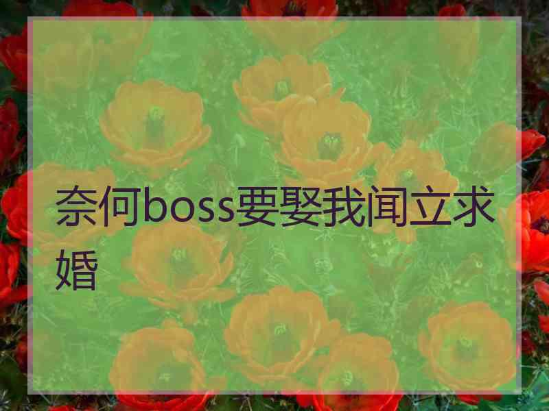 奈何boss要娶我闻立求婚