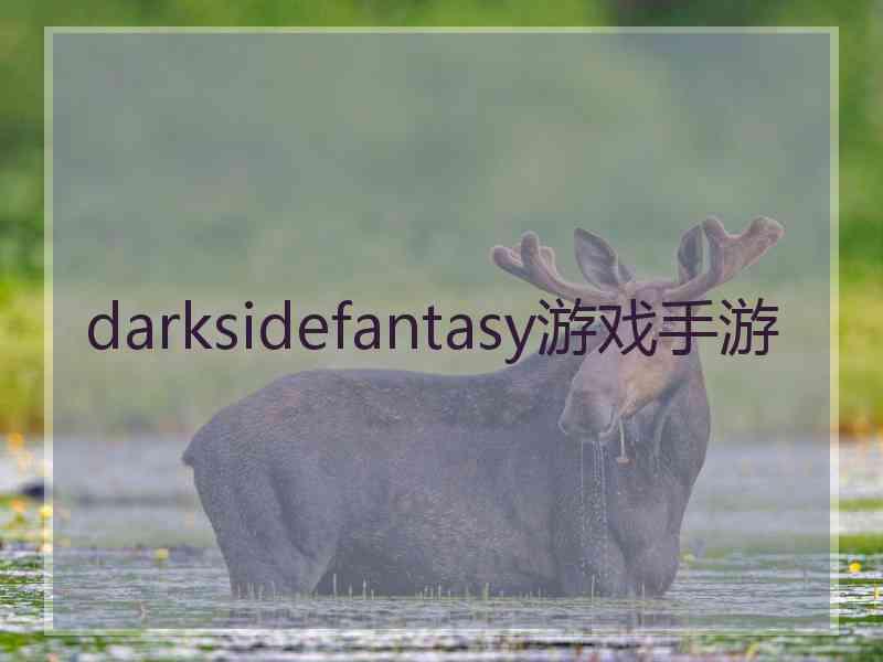 darksidefantasy游戏手游