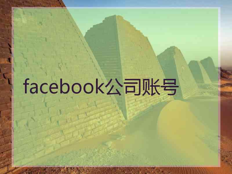 facebook公司账号