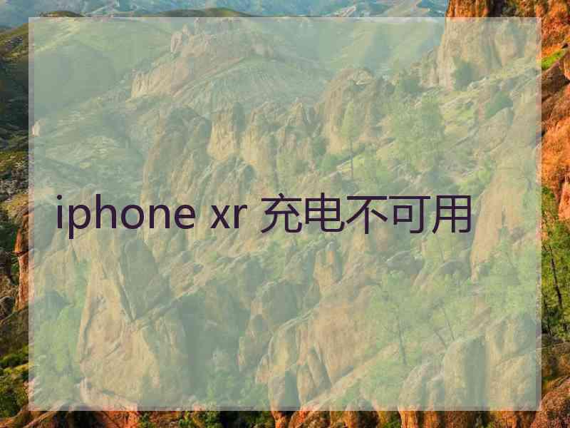 iphone xr 充电不可用