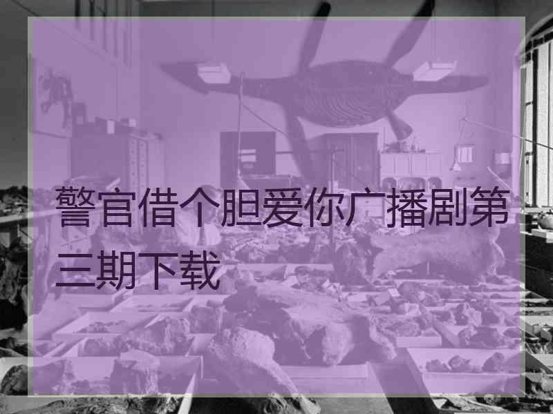 警官借个胆爱你广播剧第三期下载