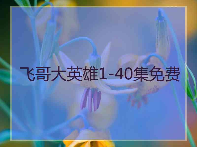 飞哥大英雄1-40集免费