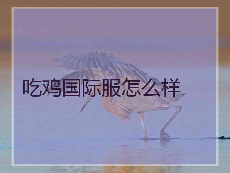 吃鸡国际服怎么样