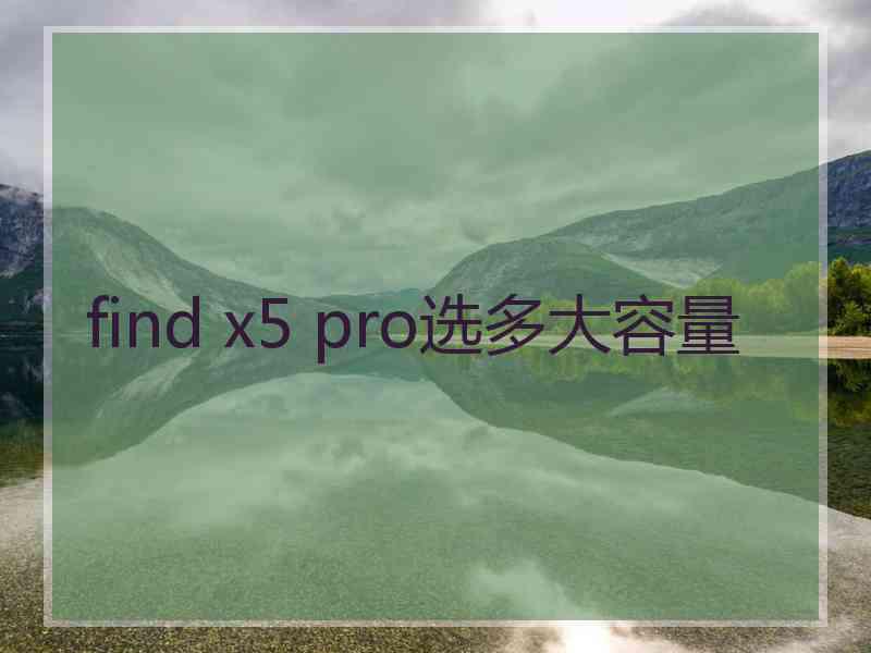 find x5 pro选多大容量