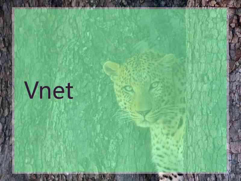 Vnet