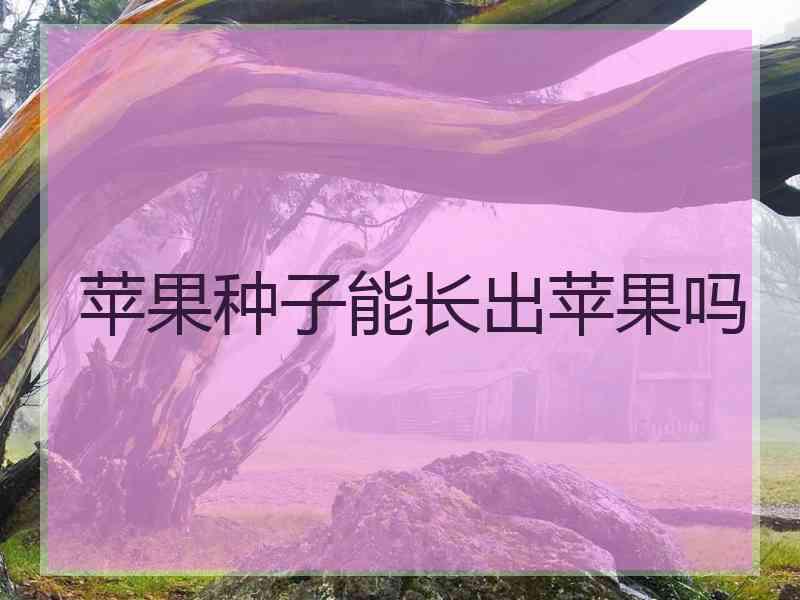 苹果种子能长出苹果吗