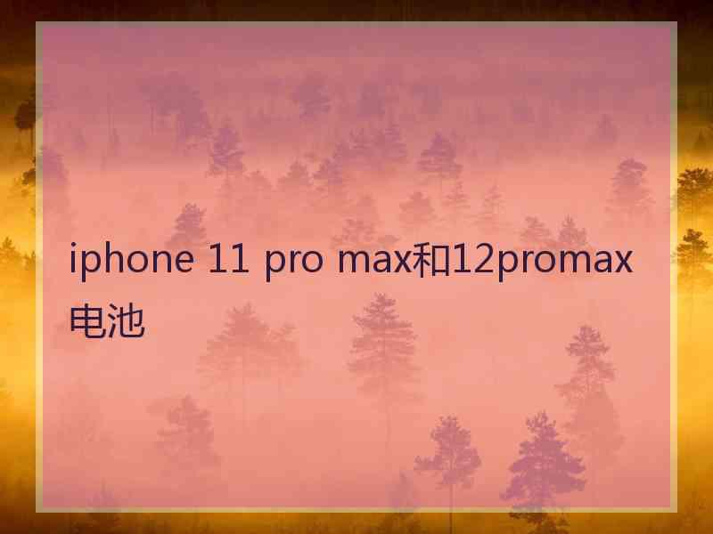 iphone 11 pro max和12promax电池