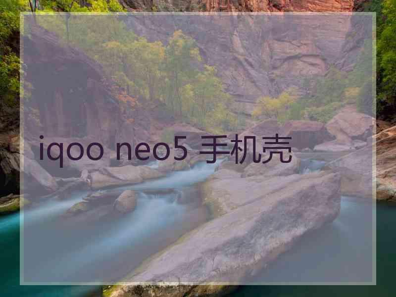 iqoo neo5 手机壳