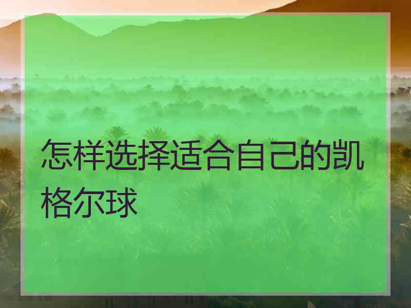 怎样选择适合自己的凯格尔球