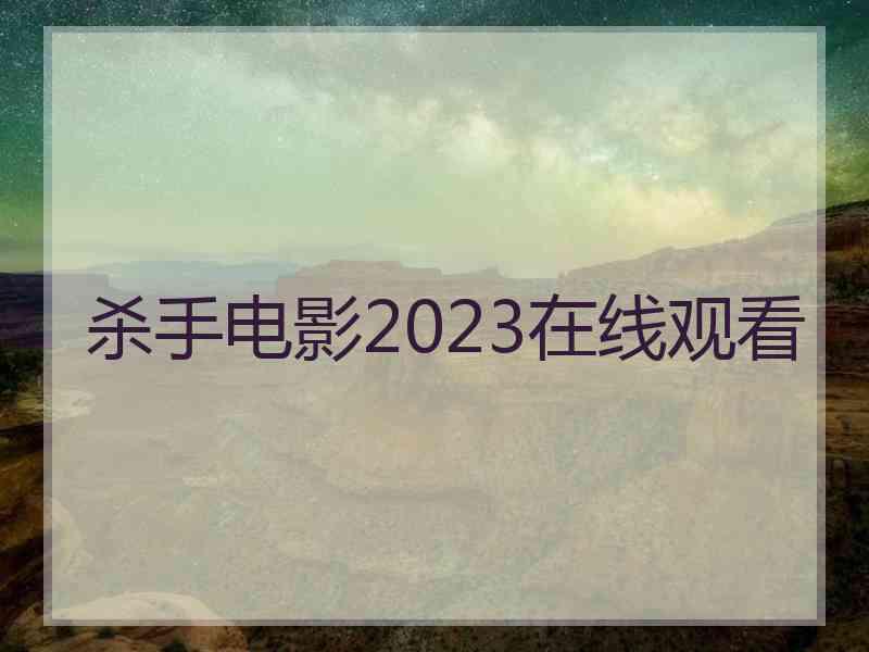 杀手电影2023在线观看