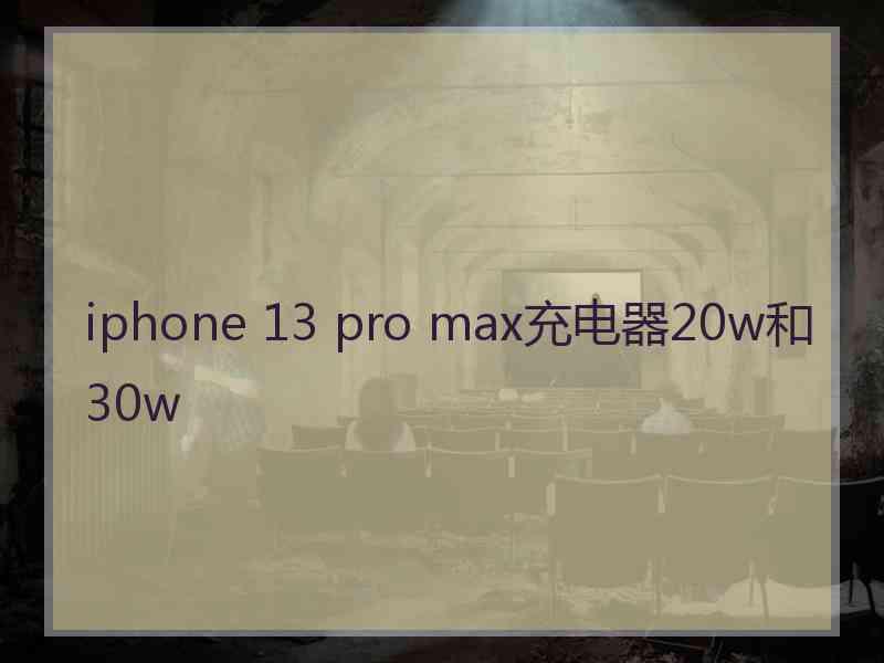 iphone 13 pro max充电器20w和30w