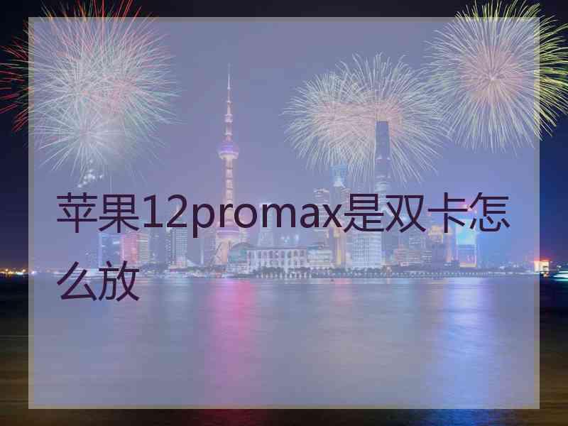 苹果12promax是双卡怎么放