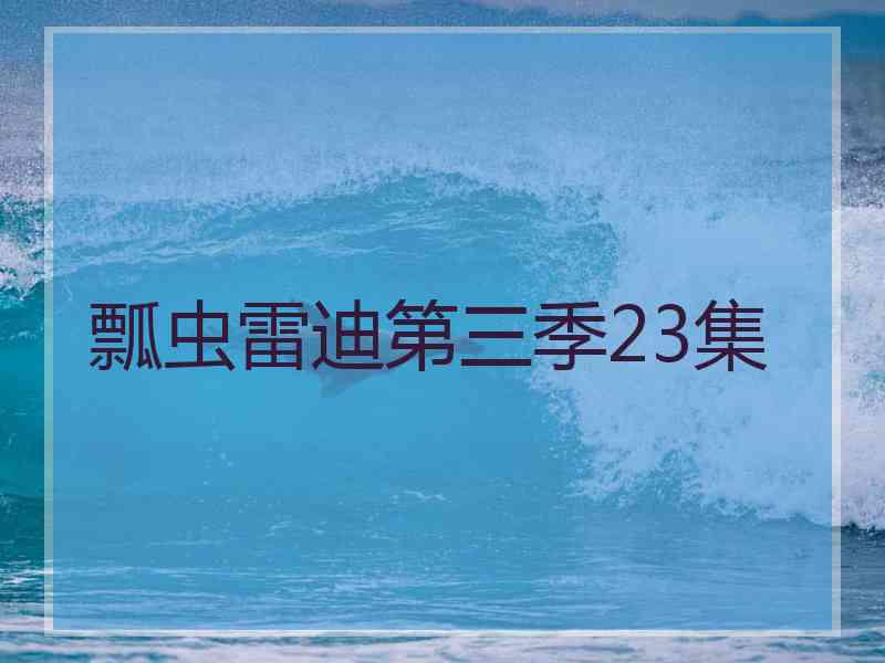 瓢虫雷迪第三季23集