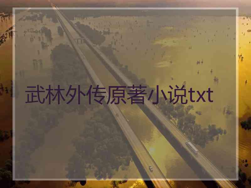 武林外传原著小说txt