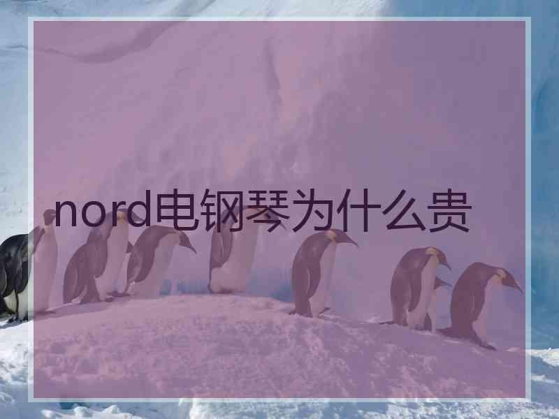 nord电钢琴为什么贵