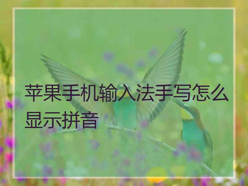 苹果手机输入法手写怎么显示拼音