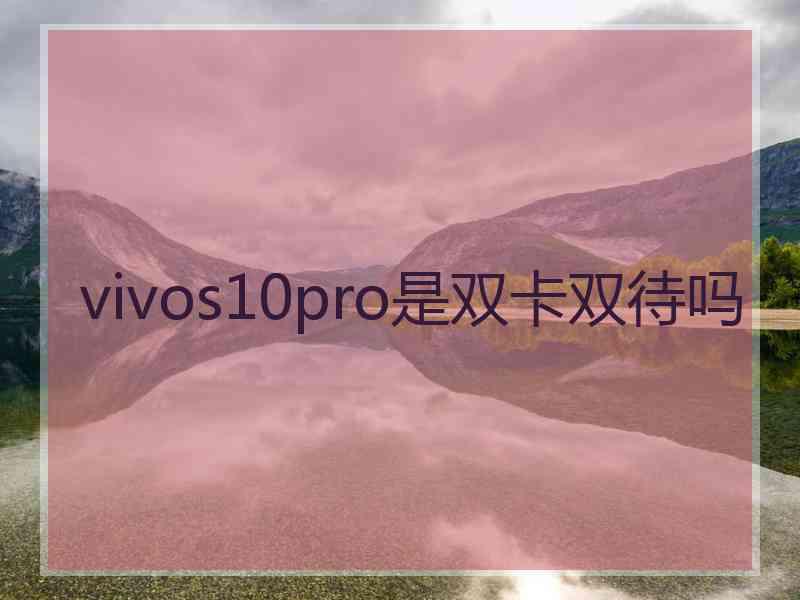 vivos10pro是双卡双待吗