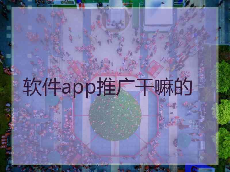 软件app推广干嘛的