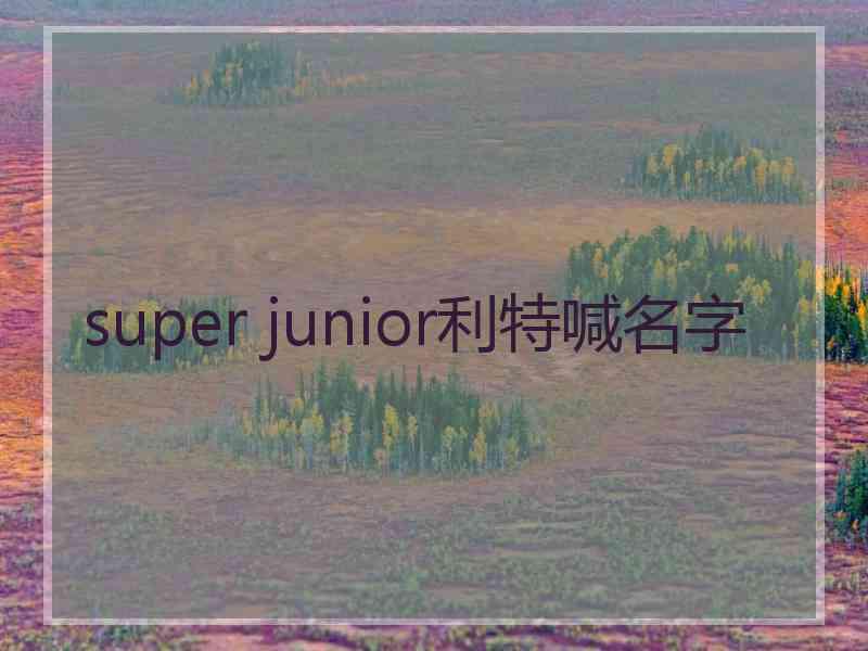 super junior利特喊名字