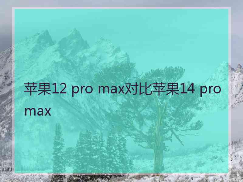 苹果12 pro max对比苹果14 pro max