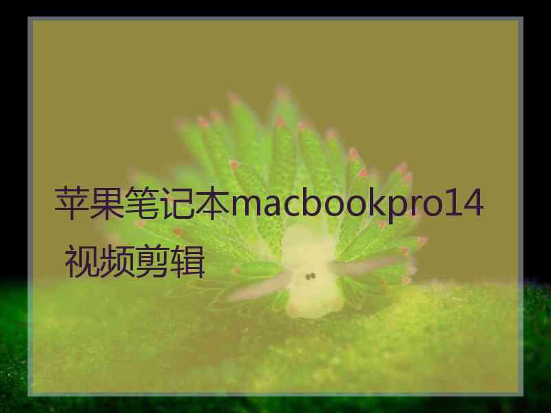 苹果笔记本macbookpro14 视频剪辑