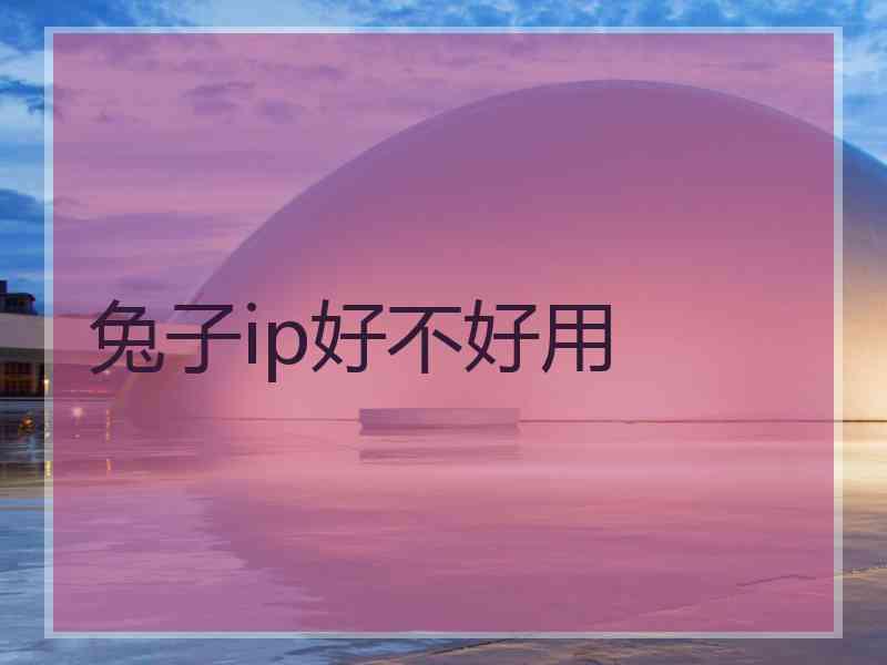 兔子ip好不好用