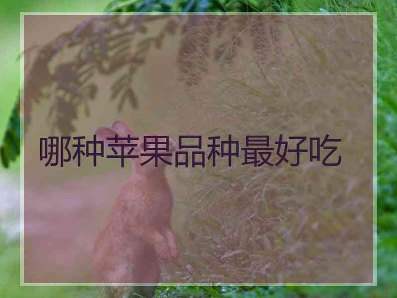 哪种苹果品种最好吃