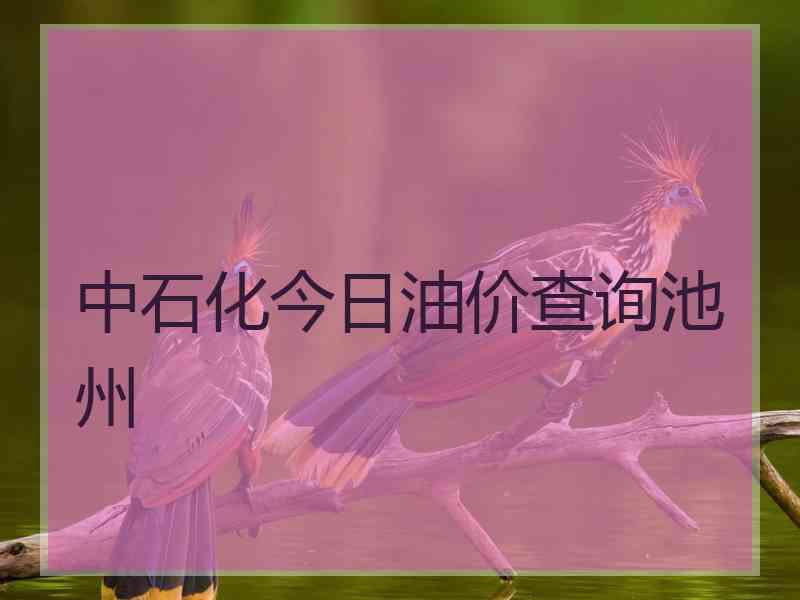 中石化今日油价查询池州