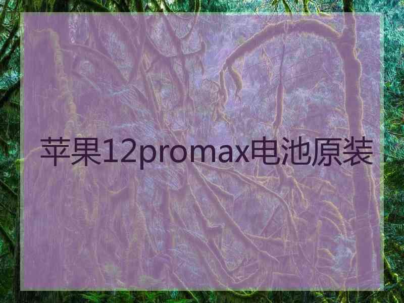 苹果12promax电池原装