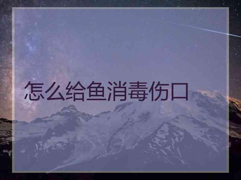 怎么给鱼消毒伤口