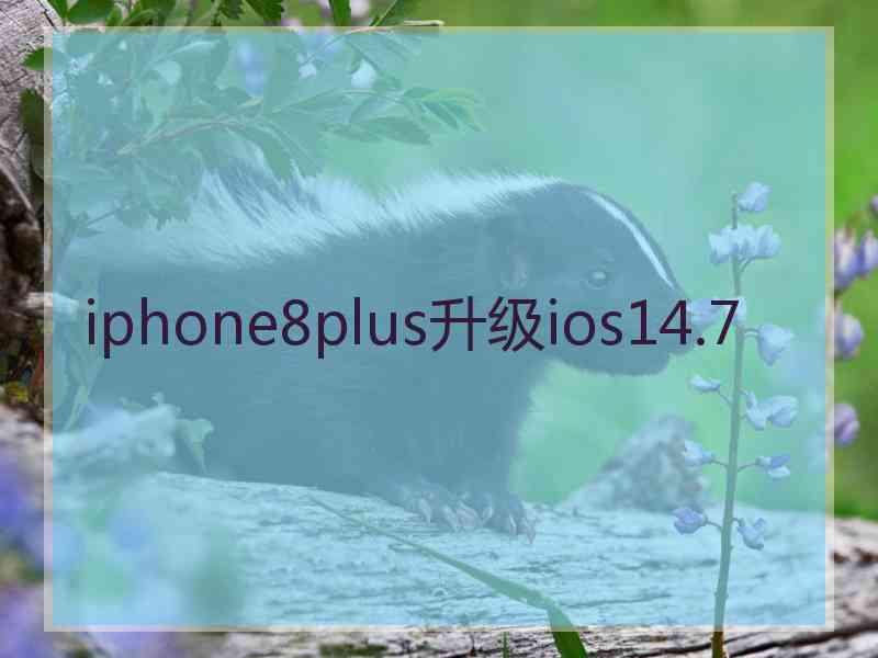 iphone8plus升级ios14.7