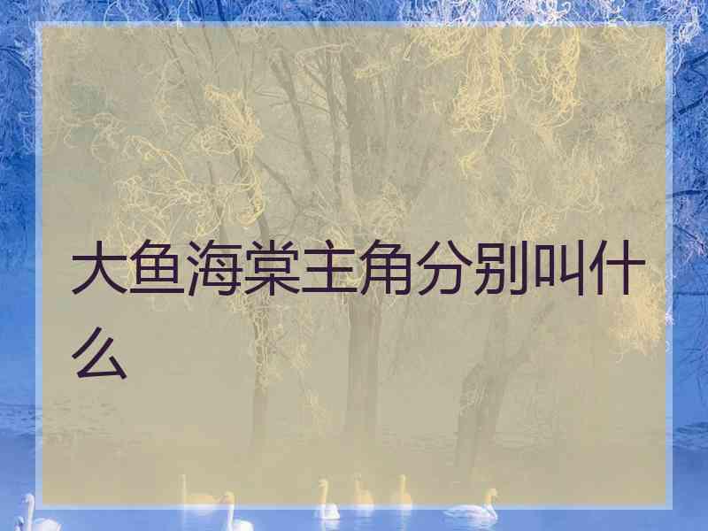 大鱼海棠主角分别叫什么