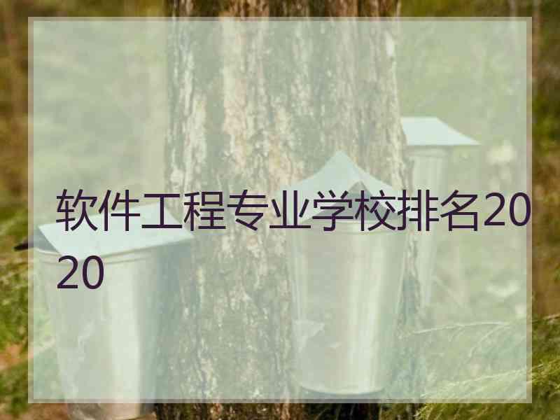 软件工程专业学校排名2020