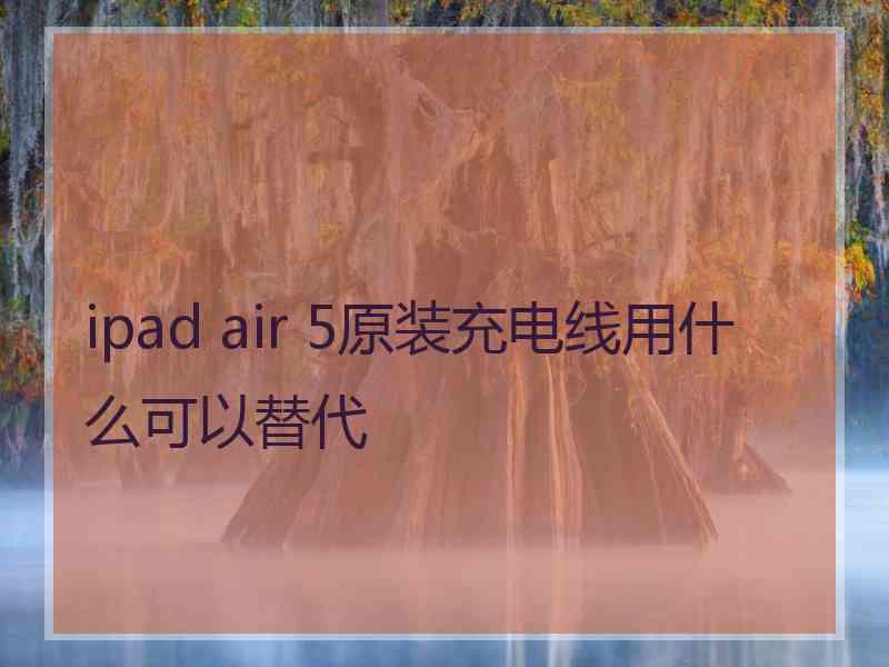 ipad air 5原装充电线用什么可以替代